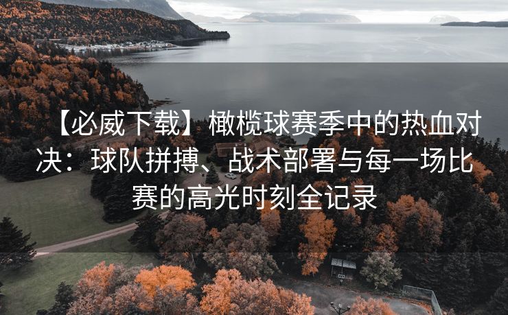 【必威下载】橄榄球赛季中的热血对决：球队拼搏、战术部署与每一场比赛的高光时刻全记录